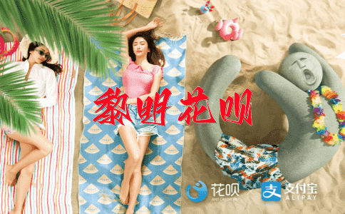 咸与维新花呗